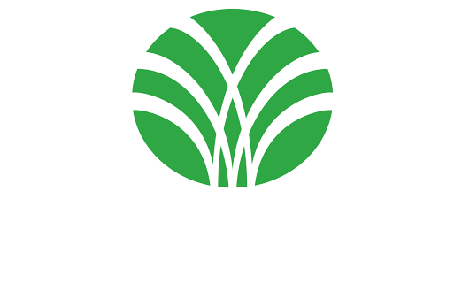 PRECIOUS WOODS
